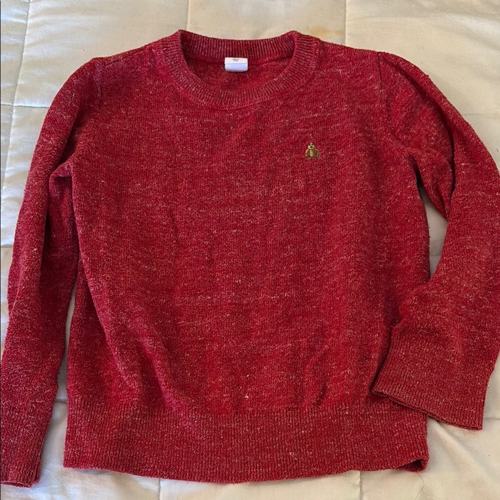 Child’s GAP Sweater